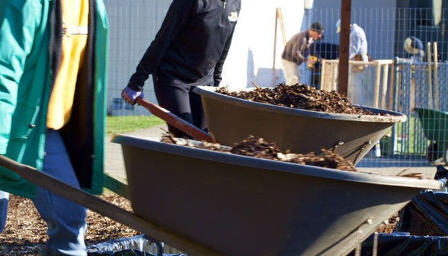 Brooklyn Youth Create Jobs (and Community Roots) Through Local Compost Program